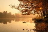 “Sera d'ottobre”: la poesia d'autunno di Giovanni Pascoli