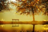 “Ode all'autunno” di John Keats: una poesia - visione