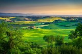 “Traversando la Maremma toscana”: la poesia di Giosuè Carducci dedicata alla terra natia