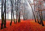 “Novembre” di Vincenzo Cardarelli: una poesia simile a un pianto