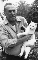 Charles Bukowski: presto in uscita un suo libro inedito sui gatti