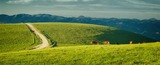 “L'Appennino” di Pier Paolo Pasolini: analisi e commento del poemetto