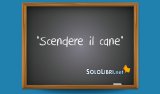 Accademia della Crusca, no a “scendere il cane”: ecco spiegato l'equivoco