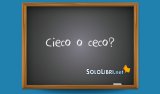 Cieco o ceco: come si scrive?