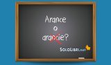 Arance o arancie: come si scrive?