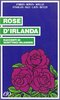 Copertina del libro Rose d'Irlanda. Racconti di scrittrici irlandesi 