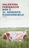 Copertina del libro Non è al momento raggiungibile 