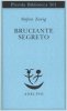 Copertina del libro Bruciante segreto