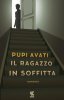 Copertina del libro Il ragazzo in soffitta