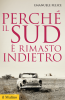 Copertina del libro Perché il Sud è rimasto indietro