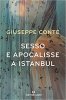 Copertina del libro Sesso e apocalisse a Istanbul 