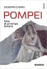 Copertina del libro Pompei. L'eco di un tempo lontano 