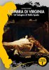 Copertina del libro L'ombra di Virginia. Un'indagine per Stella Spada 