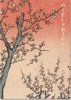 Copertina del libro Hiroshige