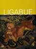 Copertina del libro Ligabue