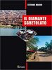 Copertina del libro Il diamante sgretolato 