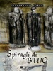 Copertina del libro Spiragli di buio 